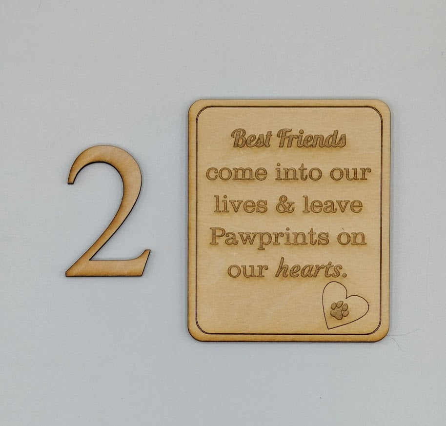 Pet Memorial Frame