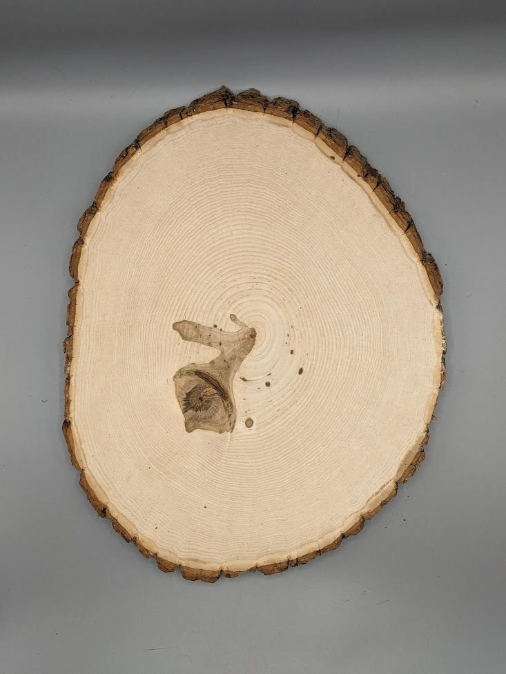 Custom Grandchildren Tree Laser Engraved Plaque